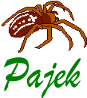 Download Pajek - package for analysis and visualization of large social networks
